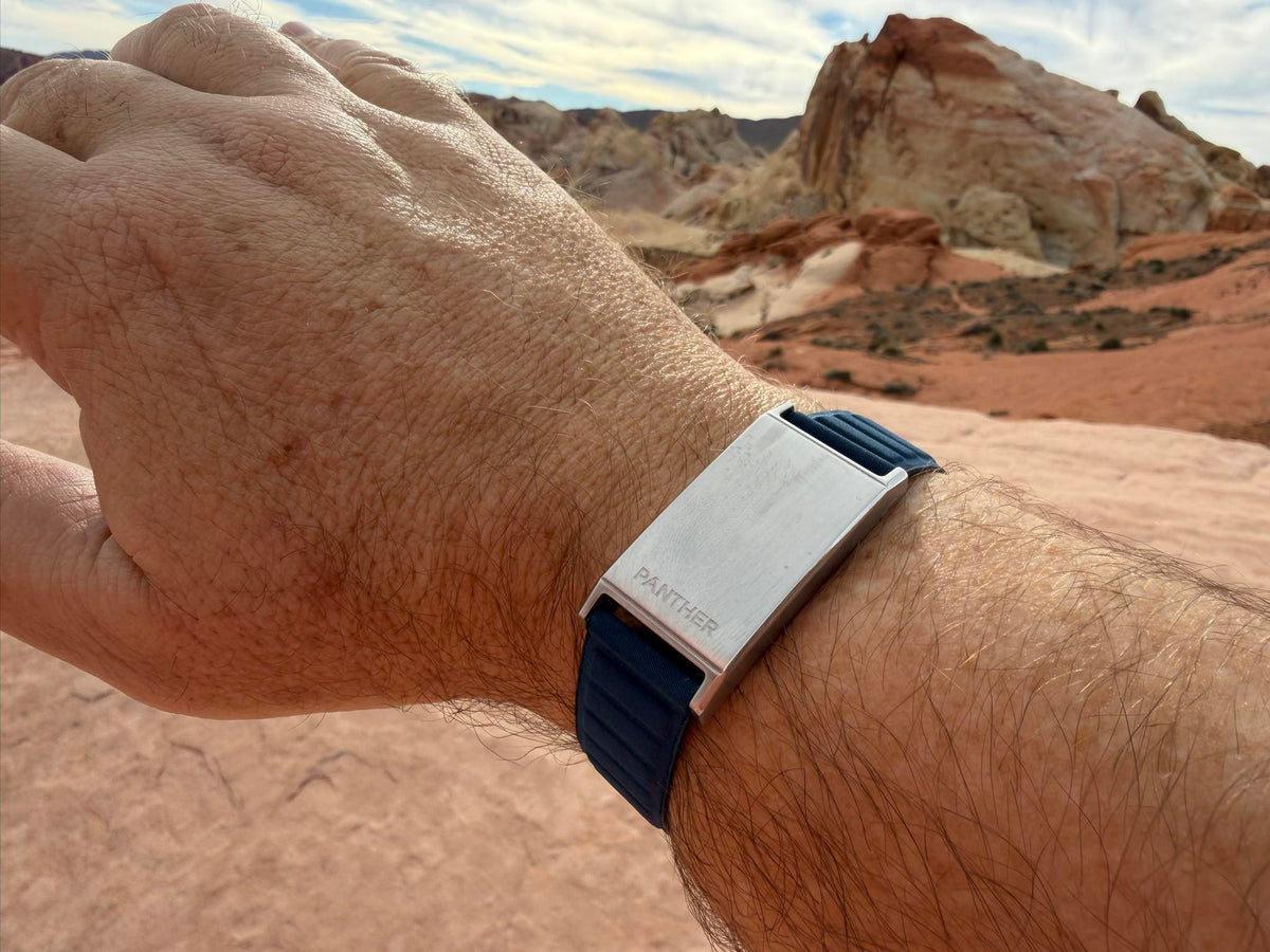 Panther Eclipse worn in Valley of Fire, Nevada