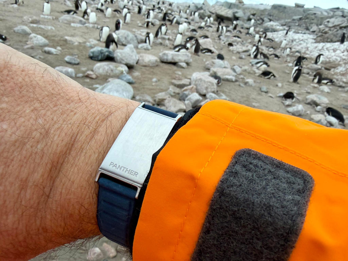 Panther Eclipse worn at a penguin colony in Antarctica
